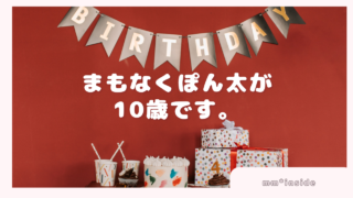 2026年01月26日　まもなくぽん太が10歳です。