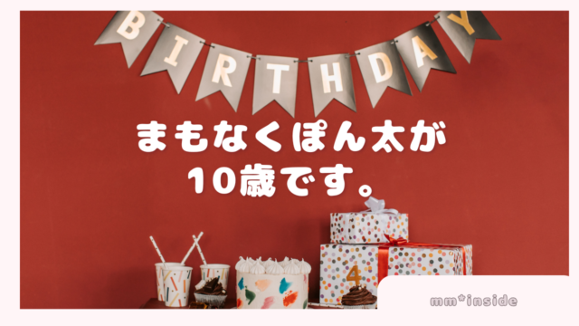 2026年01月26日　まもなくぽん太が10歳です。